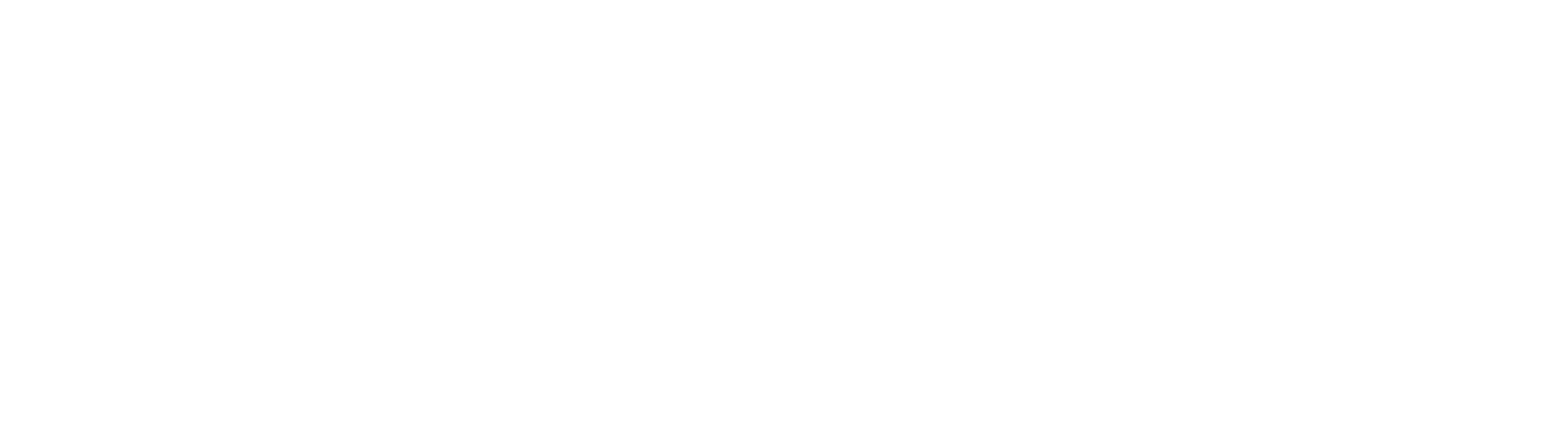 Bizlin Technologies